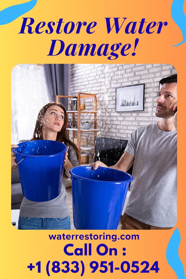 water restoration National Water Removal Inc Neche