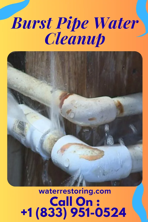Burst Pipe Water Cleanup in Neche, ND