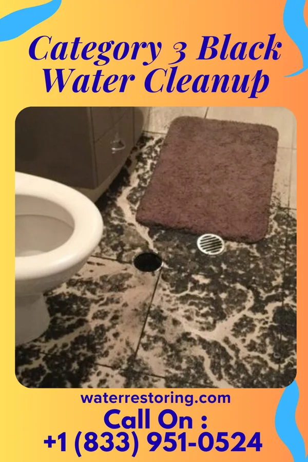 Category 3 Black Water Cleanup in Neche, ND