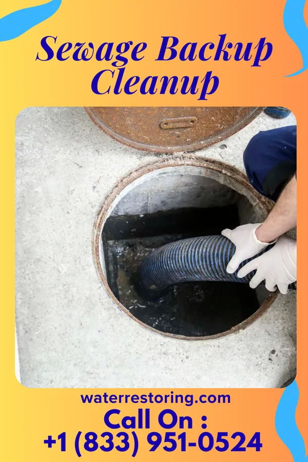 Sewage Backup Cleanup in Neche, ND