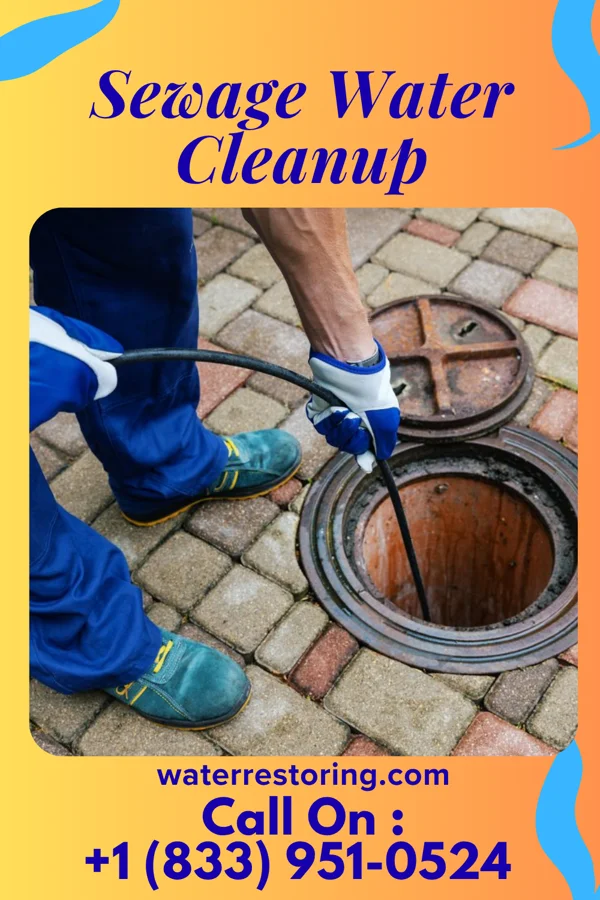 Sewage Water Cleanup in Neche, ND